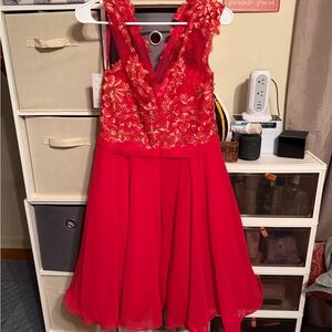 Stunning Red Lace Wedding Dress